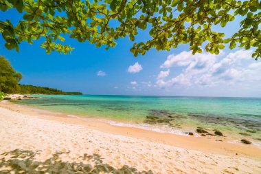 Güzel cennet tropikal plaj ve deniz - tatil tatil kavramı