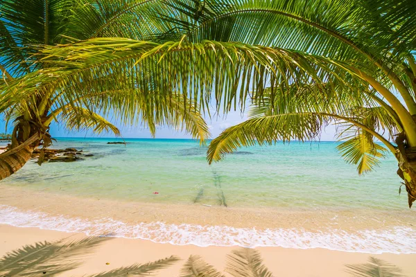 Prachtige Paradijseiland Met Zee Strand Landschap Rond Coconut Palm Tree — Stockfoto