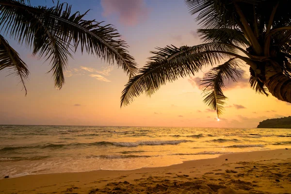 Bela Ilha Paradisíaca Com Praia Mar Torno Coqueiro Pôr Sol — Fotografia de Stock