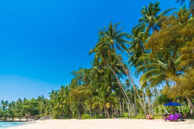 Güzel tropikal plaj ve Hindistan cevizi hurma ağacı Cennet Adası - tatil tatil kavramı ile