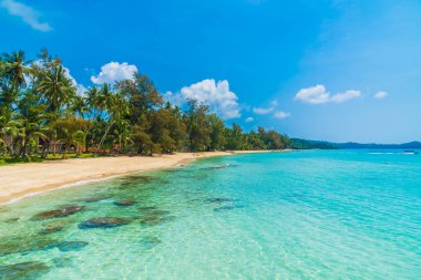 Güzel tropikal plaj ve Hindistan cevizi hurma ağacı Cennet Adası - tatil tatil kavramı ile