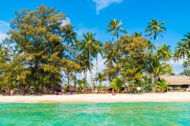 Güzel tropikal plaj ve Hindistan cevizi hurma ağacı Cennet Adası - tatil tatil kavramı ile