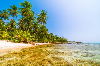 Güzel Cennet Adası ile Hindistan cevizi hurma ağacı - tatil tatil kavramı etrafında deniz ve plaj peyzaj