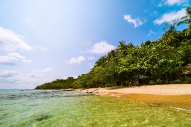 Güzel Cennet Adası ile Hindistan cevizi hurma ağacı - tatil tatil kavramı etrafında deniz ve plaj peyzaj