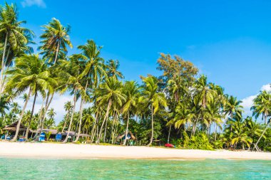 Güzel tropikal plaj ve Hindistan cevizi hurma ağacı Cennet Adası - tatil tatil kavramı ile