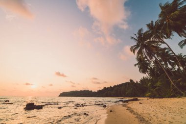 Plaj ve deniz Hindistan cevizi hurma ağacı günbatımı zaman - tatil tatil kavramı etrafında güzel Cennet Adası