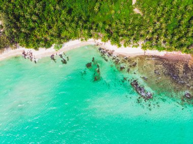 Mavi gökyüzünde Cennet Adası üzerinde güzel bir plaj ve deniz Hindistan cevizi hurma ağacı ile havadan görünümü