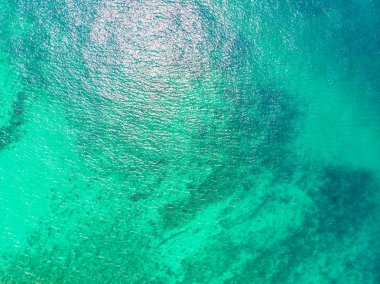 Mavi gökyüzünde Cennet Adası üzerinde güzel bir plaj ve deniz Hindistan cevizi hurma ağacı ile havadan görünümü