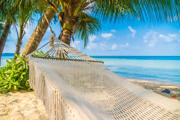 Hamak güzel tropikal plaj ve deniz mavi gökyüzü - tatil tatil kavramı ile