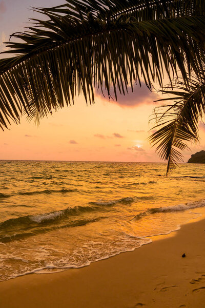 Beautiful paradise island with beach and sea around coconut palm tree at sunset time - Holiday Vacation concept