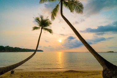 Plaj ve deniz Hindistan cevizi hurma ağacı günbatımı zaman - tatil tatil ve seyahat kavramı etrafında güzel Cennet Adası