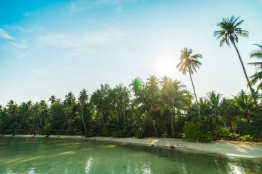Plaj ve deniz Hindistan cevizi hurma ağacı günbatımı zaman - tatil tatil kavramı etrafında güzel Cennet Adası
