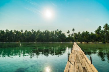 Ahşap köprü ya da plaj ve deniz Hindistan cevizi hurma ağacı - tatil tatil ve seyahat kavramı ile cennet adası iskelede