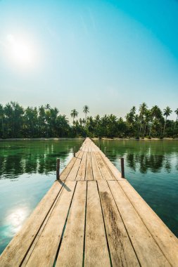 Ahşap köprü ya da plaj ve deniz Hindistan cevizi hurma ağacı - tatil tatil ve seyahat kavramı ile cennet adası iskelede
