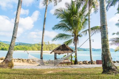 Plaj ve deniz Hindistan cevizi hurma ağacı - tatil tatil kavramı etrafında hamak ile cennet güzel ada