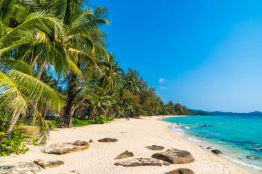 Güzel tropikal plaj ve Hindistan cevizi hurma ağacı Cennet Adası - tatil tatil kavramı ile