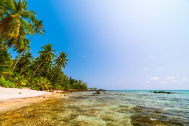Güzel Cennet Adası ile Hindistan cevizi hurma ağacı - tatil tatil kavramı etrafında deniz ve plaj peyzaj