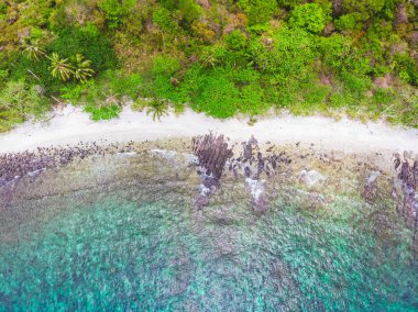 Mavi gökyüzünde Cennet Adası üzerinde güzel bir plaj ve deniz Hindistan cevizi hurma ağacı ile havadan görünümü