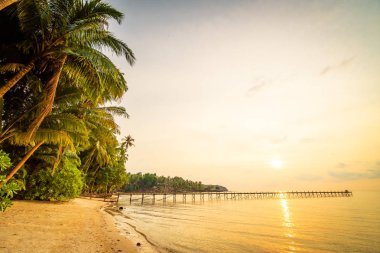 Plaj ve deniz Hindistan cevizi hurma ağacı günbatımı zaman - tatil tatil ve seyahat kavramı etrafında güzel Cennet Adası