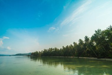 Plaj ve deniz Hindistan cevizi hurma ağacı günbatımı zaman - tatil tatil kavramı etrafında güzel Cennet Adası