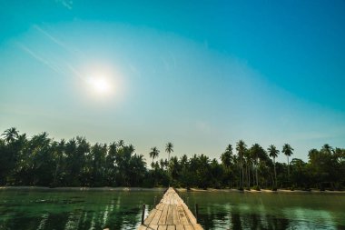 Ahşap köprü ya da plaj ve deniz Hindistan cevizi hurma ağacı - tatil tatil ve seyahat kavramı ile cennet adası iskelede