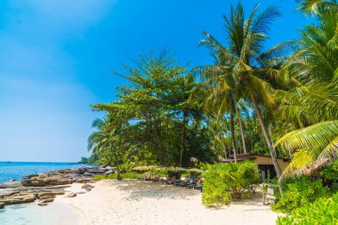 Güzel tropikal plaj ve deniz