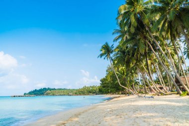 Güzel tropikal plaj ve deniz