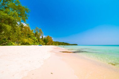 Güzel cennet tropikal plaj ve deniz