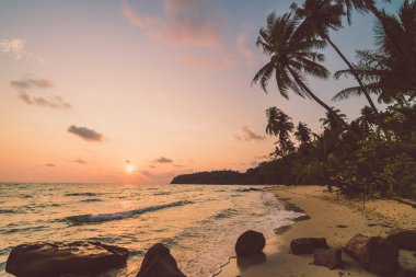 Güzel cennet ada plaj ve deniz