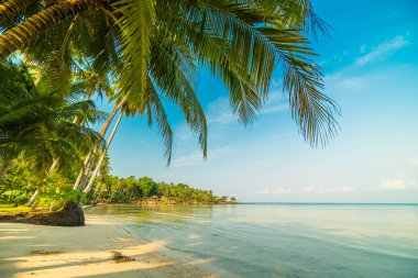 Güzel cennet ada plaj ve deniz