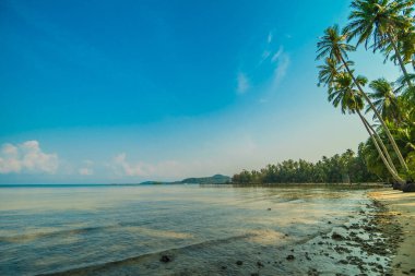 Güzel cennet ada plaj ve deniz