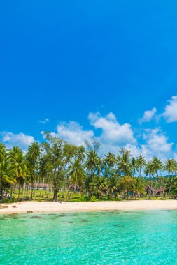 Güzel tropikal plaj ve deniz