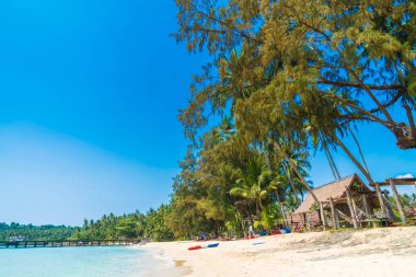 Güzel tropikal plaj ve deniz