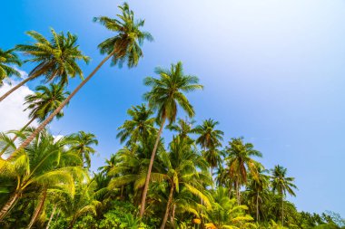 Deniz ve plaj manzara ile güzel cennet ada