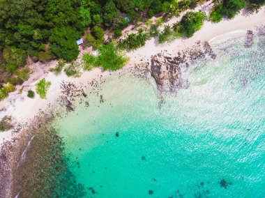 Güzel bir plaj ve deniz Hindistan cevizi hurma ağacı ile havadan görünümü