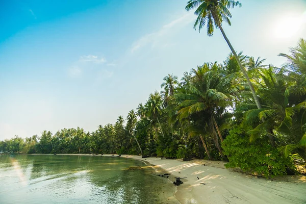 Vackra paradisön med stranden och havet — Stockfoto