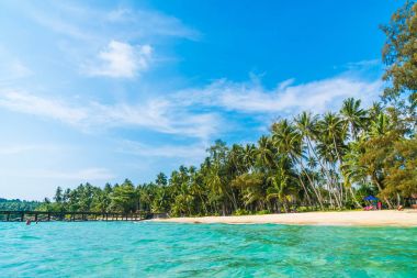 Güzel tropikal plaj ve deniz