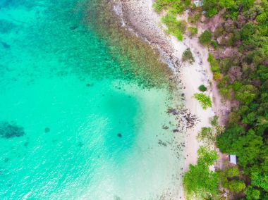 Güzel bir plaj ve deniz Hindistan cevizi hurma ağacı ile havadan görünümü