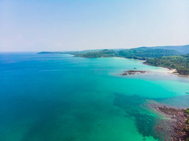 Güzel bir plaj ve deniz Hindistan cevizi hurma ağacı ile havadan görünümü