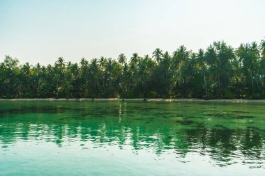 Güzel cennet ada plaj ve deniz