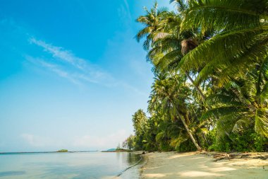 Güzel cennet ada plaj ve deniz