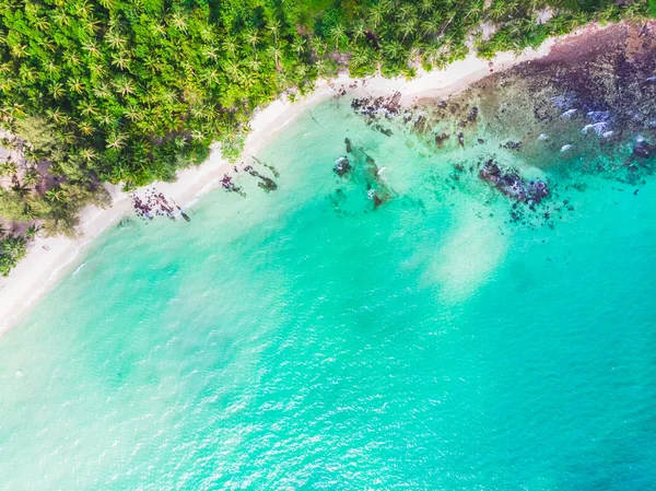 Letecký pohled na nádherné pláže a moře s kokosu palmou — Stock fotografie