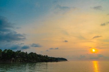 Plaj ve deniz çevresinde Hindistan cevizi hurma ile güzel cennet ada