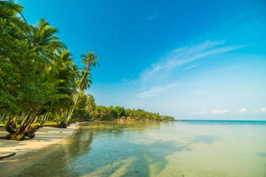 Güzel cennet ada plaj ve deniz