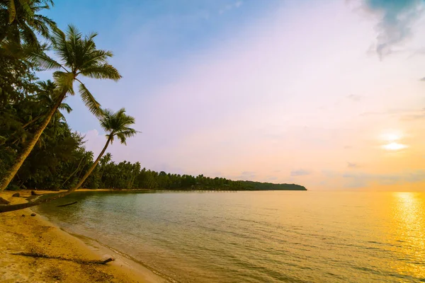 Wunderschöne paradiesische Insel mit Strand und Meer rund um Kokospalmen — Stockfoto