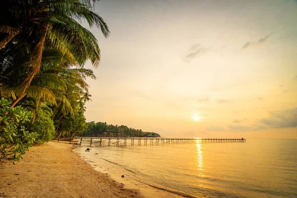 Hermosa isla paradisíaca con playa y mar alrededor de palma de coco — Foto de Stock