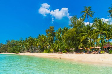 Güzel tropikal plaj ve deniz