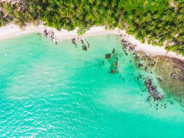 Güzel bir plaj ve deniz Hindistan cevizi hurma ağacı ile havadan görünümü