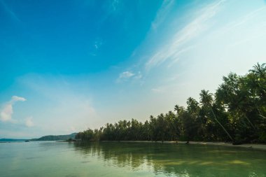 Güzel cennet ada plaj ve deniz