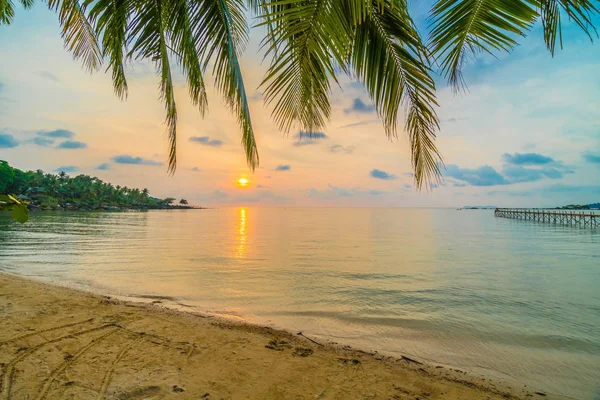 Gyönyörű Paradicsom-sziget, a strand és a tenger, ezen a környéken: kókusz Pálma — Stock Fotó